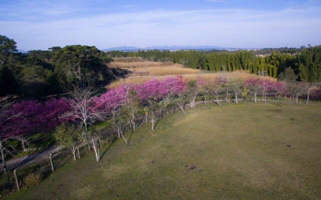 header-agendar-visita